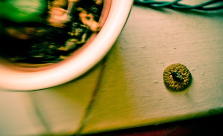 lensbabies---020