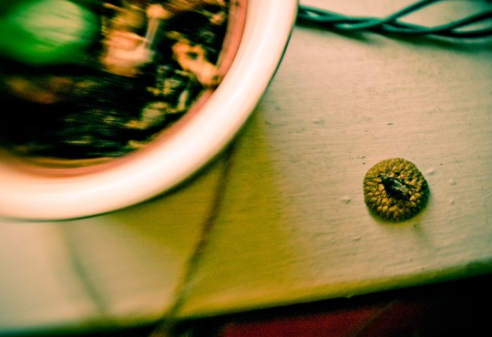 lensbabies---020