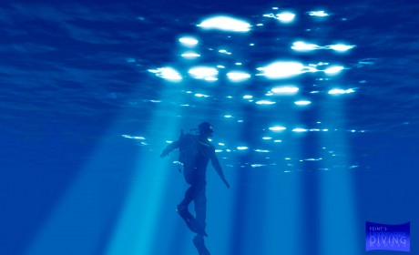 underwater diving rays