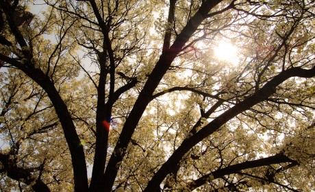 Lake Forest - 042_web