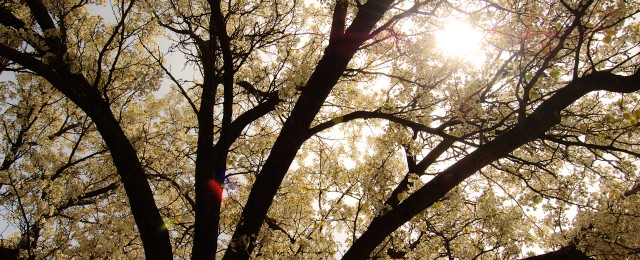 Lake Forest - 042_web