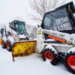 bobcats - snow - 002_web