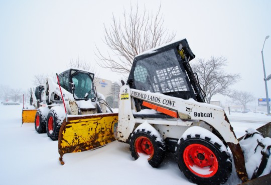 bobcats - snow - 004_web