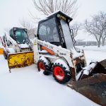 bobcats - snow - 006_web