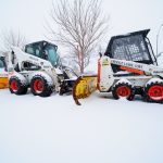 bobcats - snow - 008_web