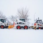 bobcats - snow - 009_web